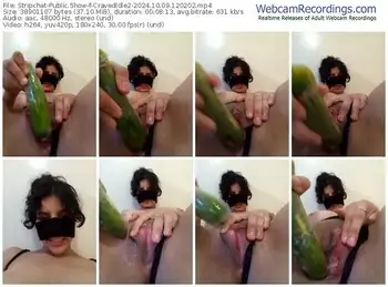 stripchat-cravedldle2-10-09-2024-12-02-02