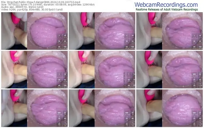 stripchat-danigirl866-10-09-2024-16-37-10