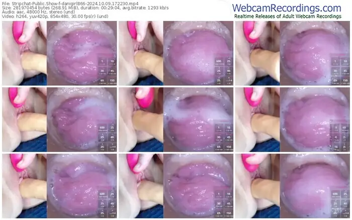 stripchat-danigirl866-10-09-2024-17-22-30