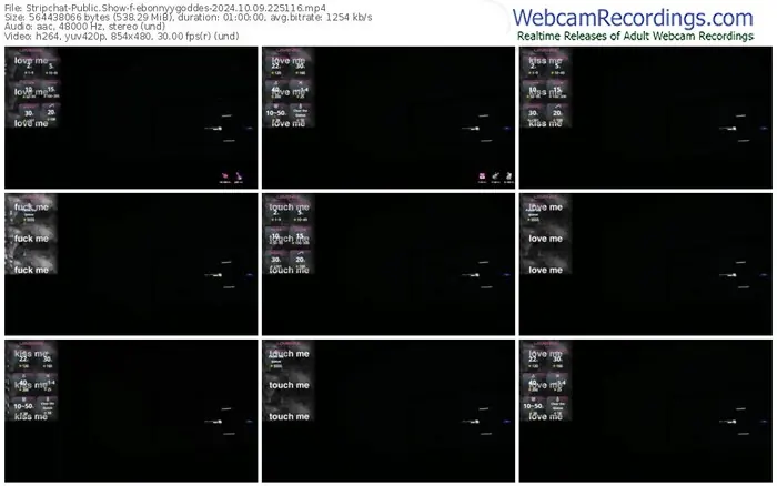 stripchat-ebonnyygoddes-10-09-2024-22-51-16