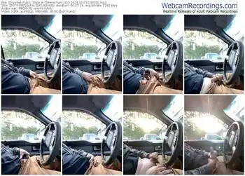 stripchat-themechanic420-10-09-2024-13-00-01