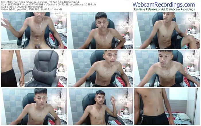 stripchat-loistwink_-10-09-2024-10-25-22