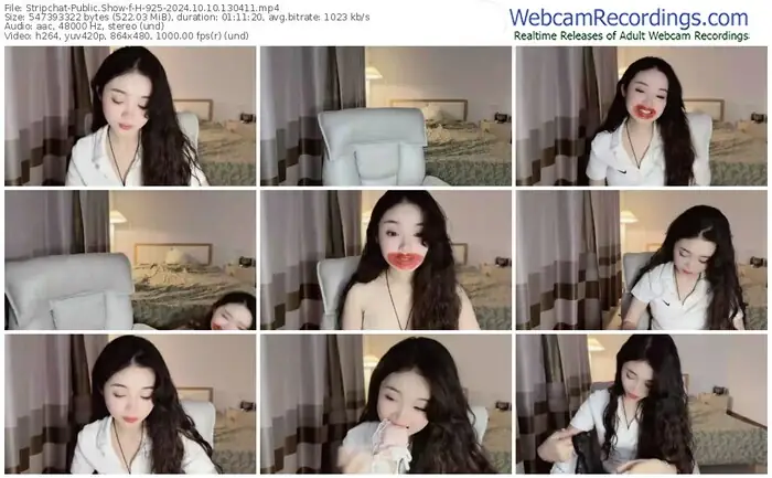 stripchat-h-925-10-10-2024-13-04-11