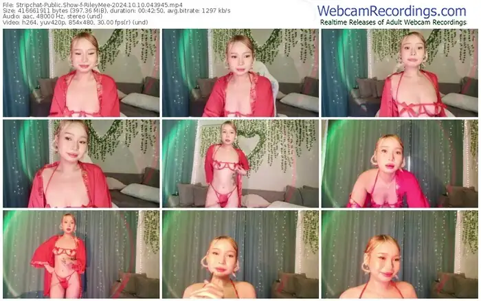 stripchat-rileymee-10-10-2024-04-39-45