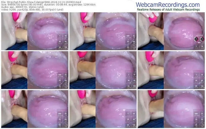 stripchat-danigirl866-10-10-2024-16-09-00
