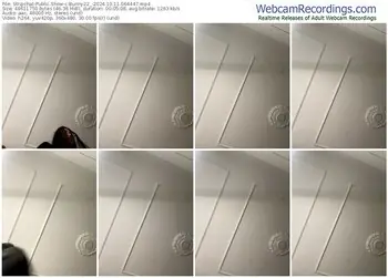 stripchat-bunny22_-10-11-2024-06-44-47