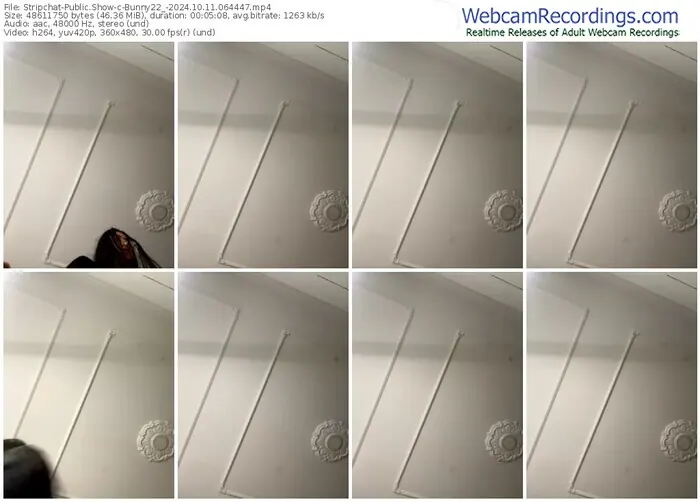 stripchat-bunny22_-10-11-2024-06-44-47