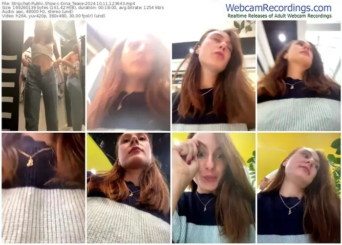 stripchat-dina_tease-10-11-2024-12-36-43