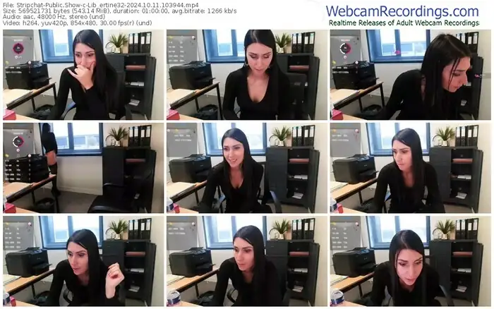 stripchat-lib_ertine32-10-11-2024-10-39-44