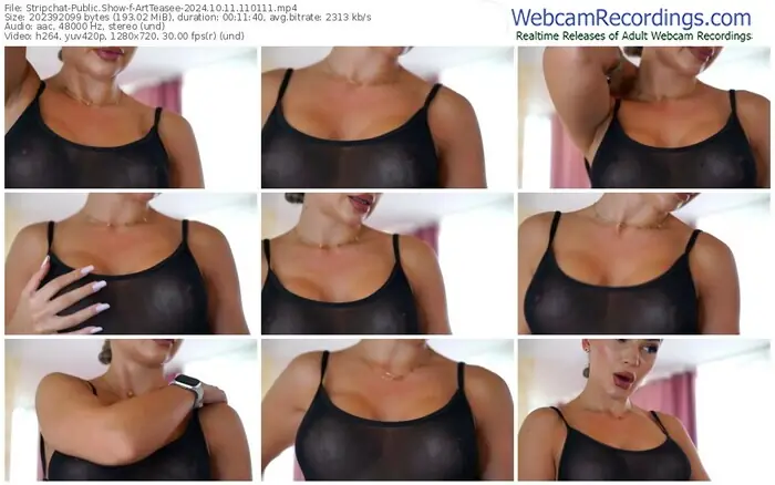 stripchat-artteasee-10-11-2024-11-01-11