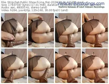 stripchat-lina_roz-10-11-2024-02-17-51