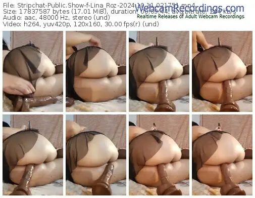 stripchat-lina_roz-10-11-2024-02-17-51