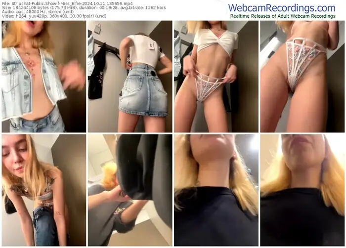stripchat-miss_elfie-10-11-2024-13-56-59