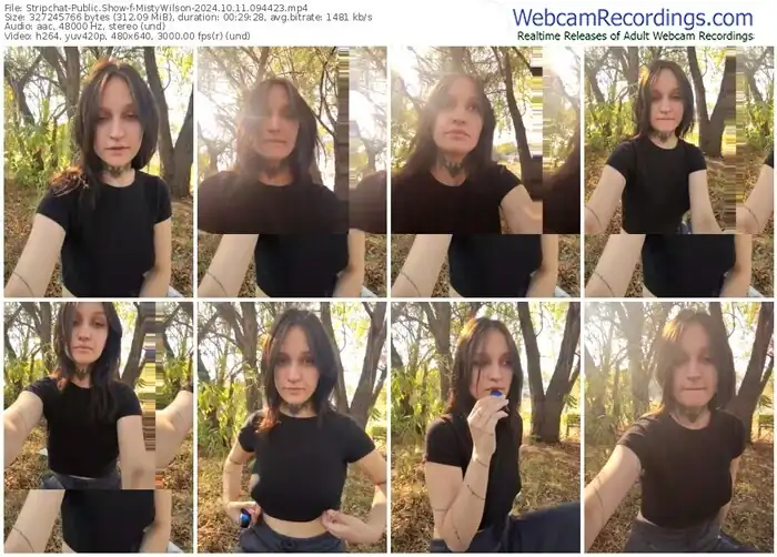 stripchat-mistywilson-10-11-2024-09-44-23