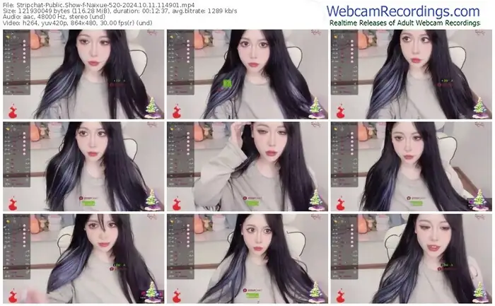 stripchat-naixue-520-10-11-2024-11-49-01