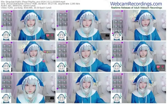 stripchat-ruirui_ovo-10-11-2024-03-33-00