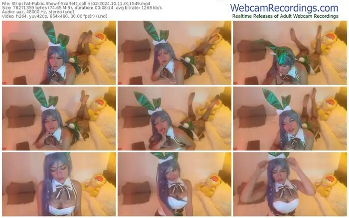 stripchat-scarlett_collins02-10-11-2024-01-15-49