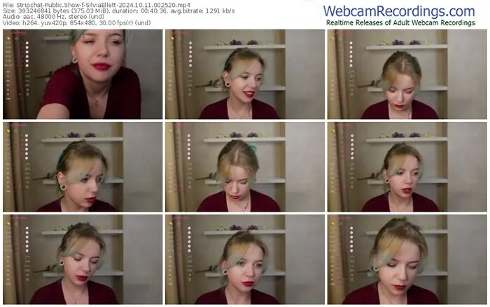 stripchat-silviaellett-10-11-2024-00-25-20