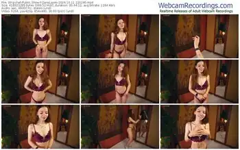 stripchat-zanalayes-10-11-2024-22-02-40