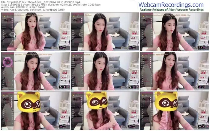 stripchat-fine__007-10-11-2024-03-38-50