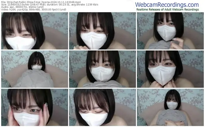 stripchat-mei_hosina-10-11-2024-16-33-48
