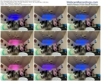 stripchat-wynterheat-10-11-2024-10-03-37