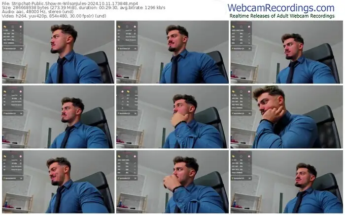 stripchat-wilsonjules-10-11-2024-17-38-48