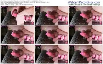 stripchat-controlmytoys-10-11-2024-13-45-47