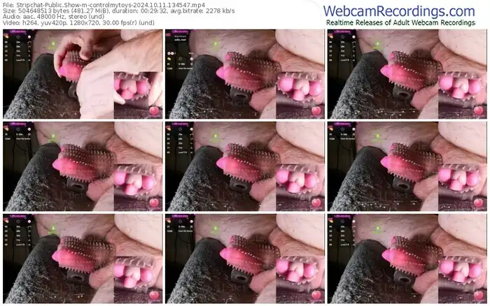 stripchat-controlmytoys-10-11-2024-13-45-47
