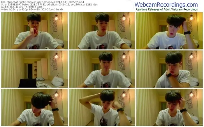 stripchat-gaygamogey-10-11-2024-20-05-52