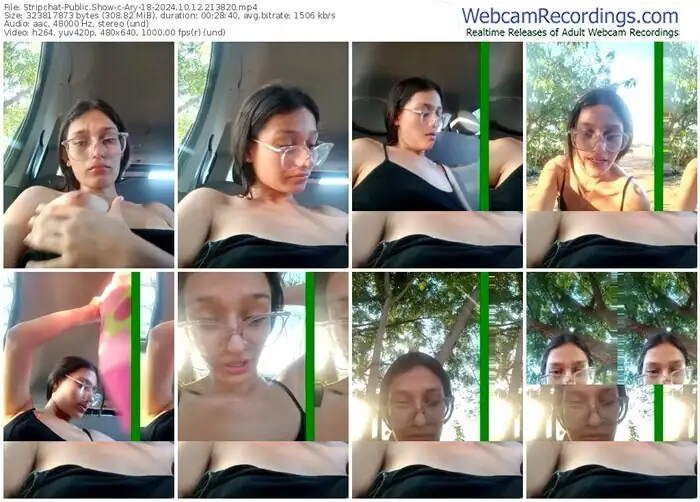 stripchat-ary-18-10-12-2024-21-38-20