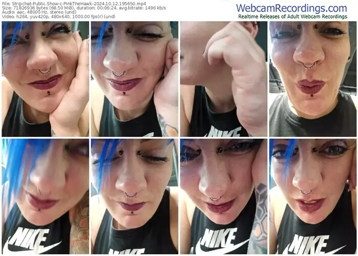 stripchat-pinkthehawk-10-12-2024-19-56-50