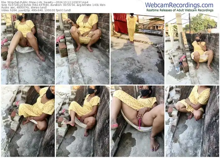 stripchat-its_sweety---10-12-2024-10-32-37