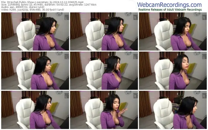 stripchat-secretary_bj-10-12-2024-00-46-25