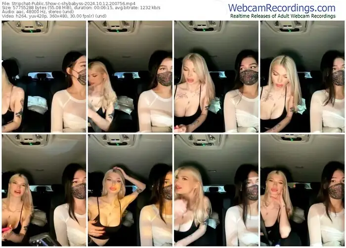 stripchat-shybabyss-10-12-2024-20-07-56