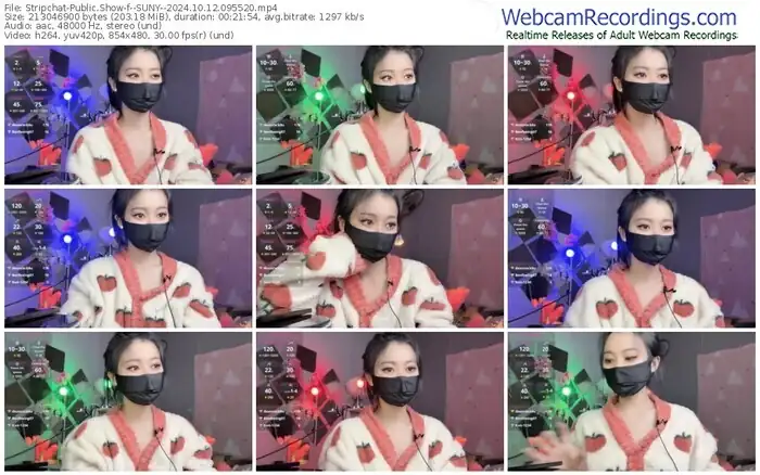 stripchat--suny--10-12-2024-09-55-20