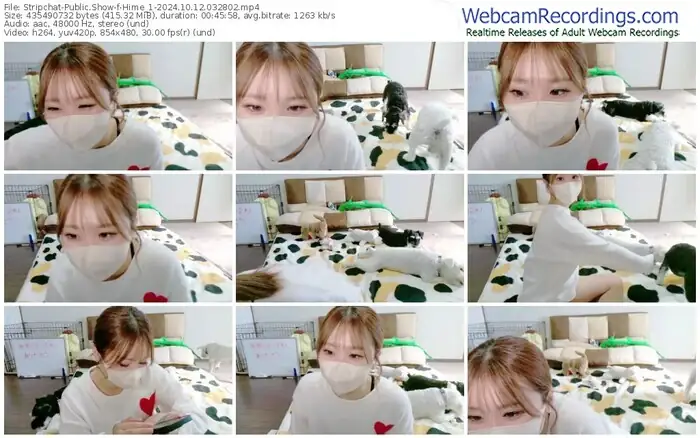 stripchat-hime_1-10-12-2024-03-28-02