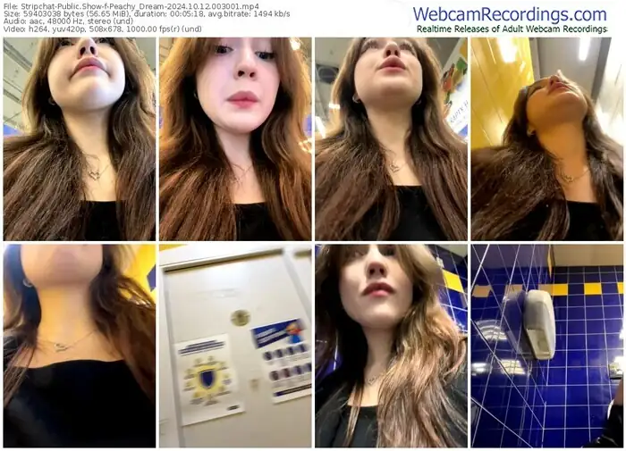 stripchat-peachy_dream-10-12-2024-00-30-01