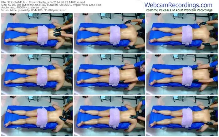 stripchat-sophy_wm-10-12-2024-14-09-14