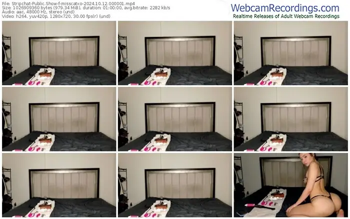 stripchat-misscatxo-10-12-2024-00-00-01
