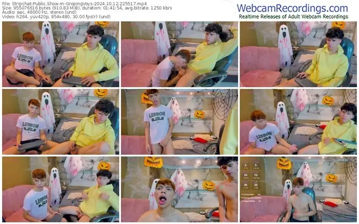 stripchat-gropingvoys-10-12-2024-22-55-17
