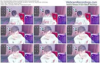 stripchat-w156156-10-12-2024-15-41-28