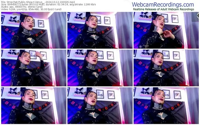 stripchat-venus__-10-12-2024-19-00-26