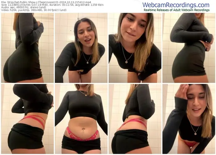 stripchat-theprincess101-10-13-2024-21-54-12