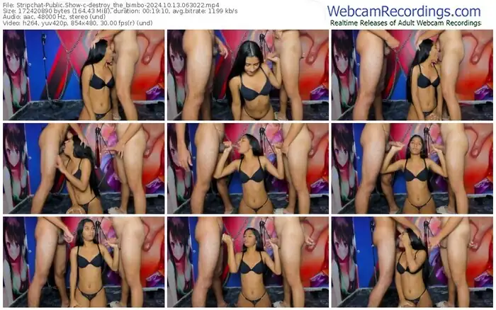 stripchat-destroy_the_bimbo-10-13-2024-06-30-22