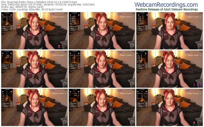 stripchat-littleeve-10-13-2024-13-49-15