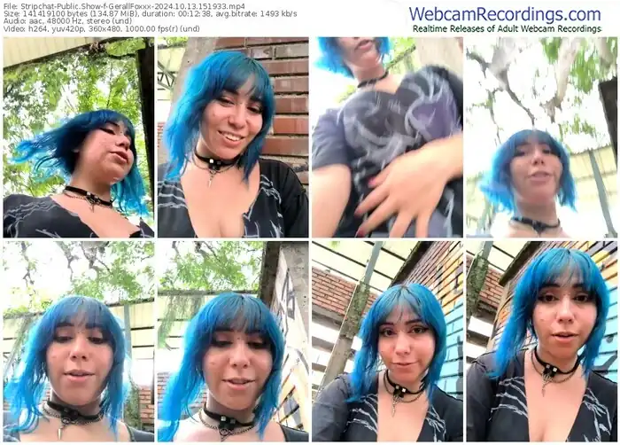 stripchat-gerallfoxxx-10-13-2024-15-19-33