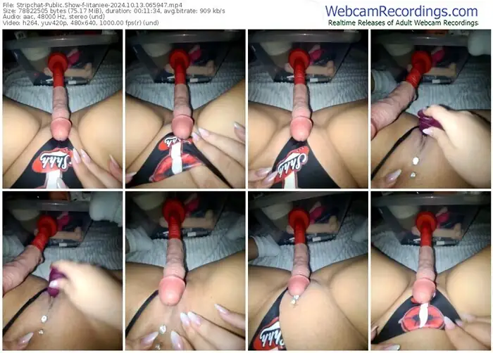 stripchat-iitaniee-10-13-2024-06-59-47