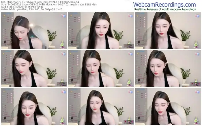 stripchat-lucky_cat--10-13-2024-08-25-30