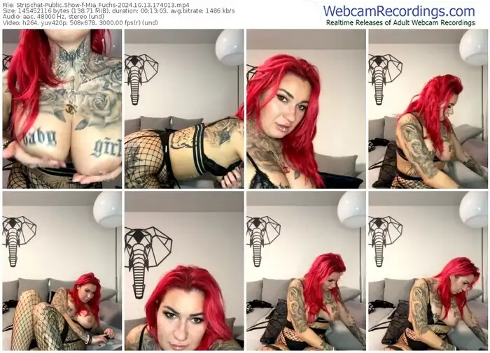 stripchat-mia_fuchs-10-13-2024-17-40-13